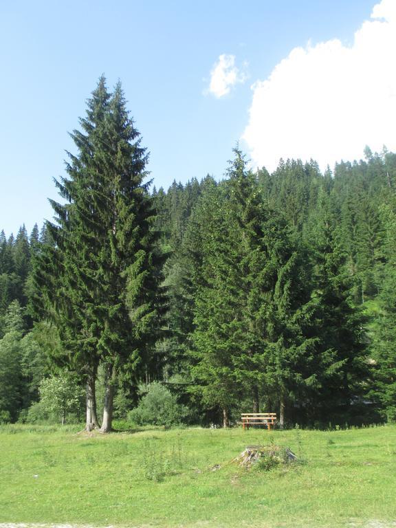 Schwarzenbacher Lungötz Kamer foto
