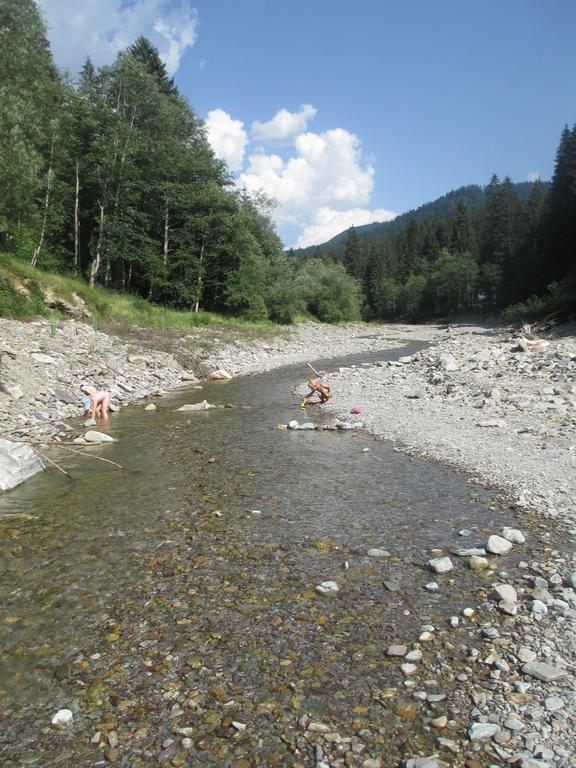 Schwarzenbacher Lungötz Kamer foto