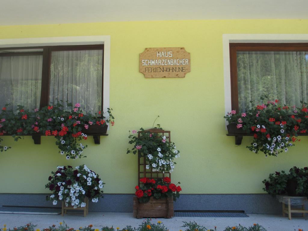 Schwarzenbacher Lungötz Kamer foto