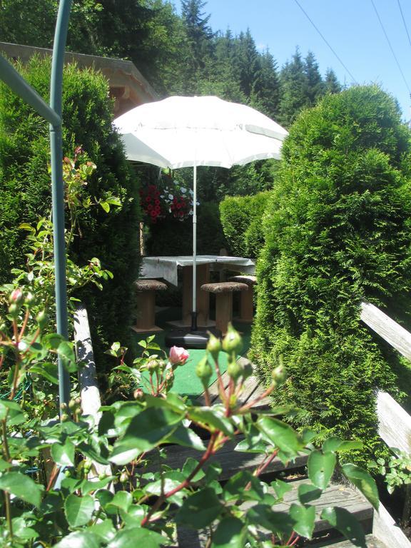 Schwarzenbacher Lungötz Kamer foto